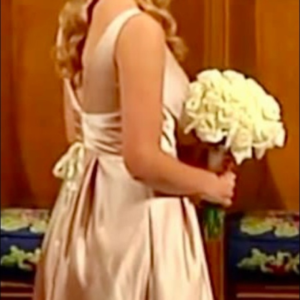 David’s Bridal Bridesmaid Dress!  NWT!